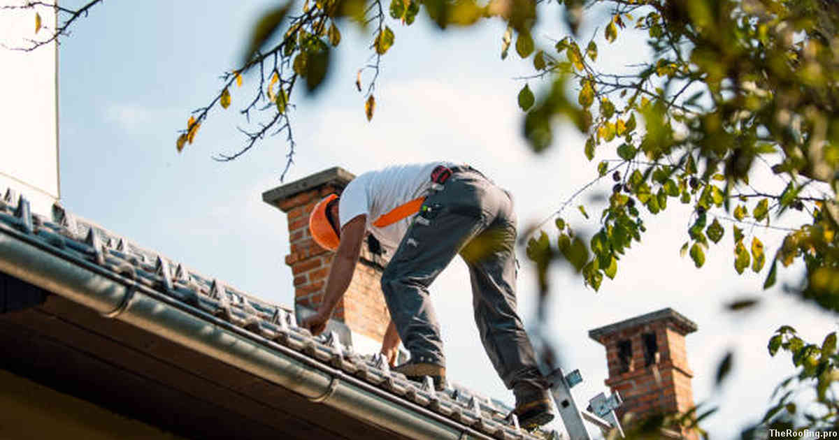 A Guide to Maintenance and Repair Solutions for Residential Roofs