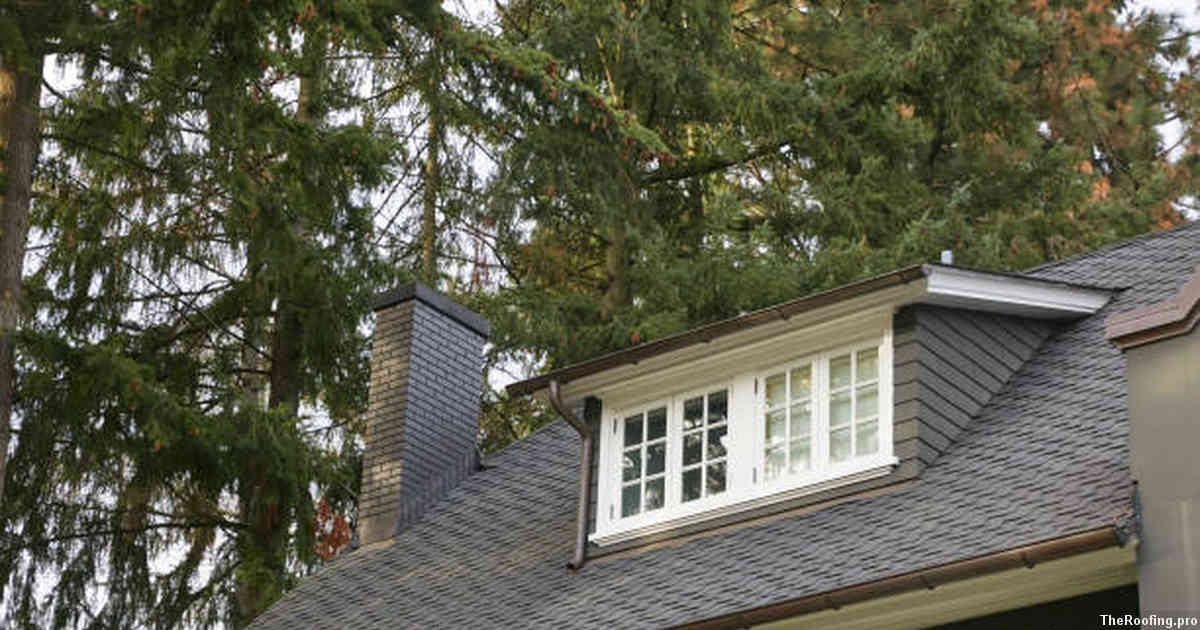Cleaning and Maintaining Your Roof for Years of Protection