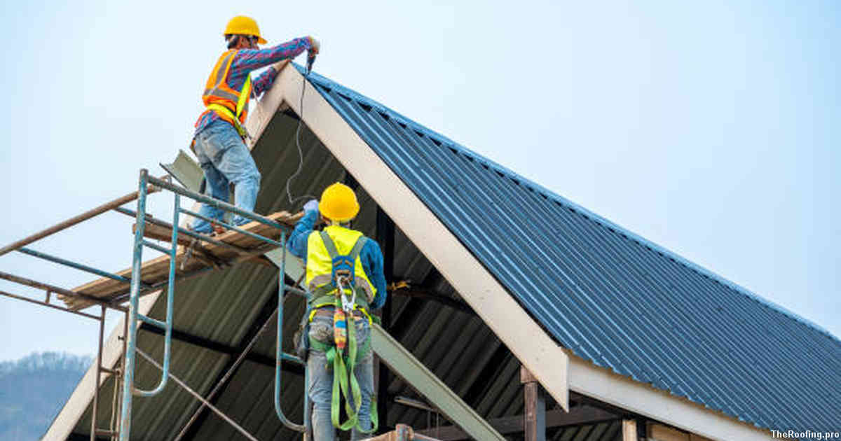 Cleaning and Preserving Your Roof in Zephyrhills