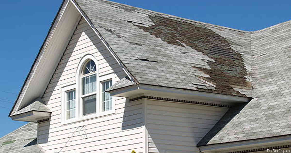 Emergency Roof Repair Services in Payette