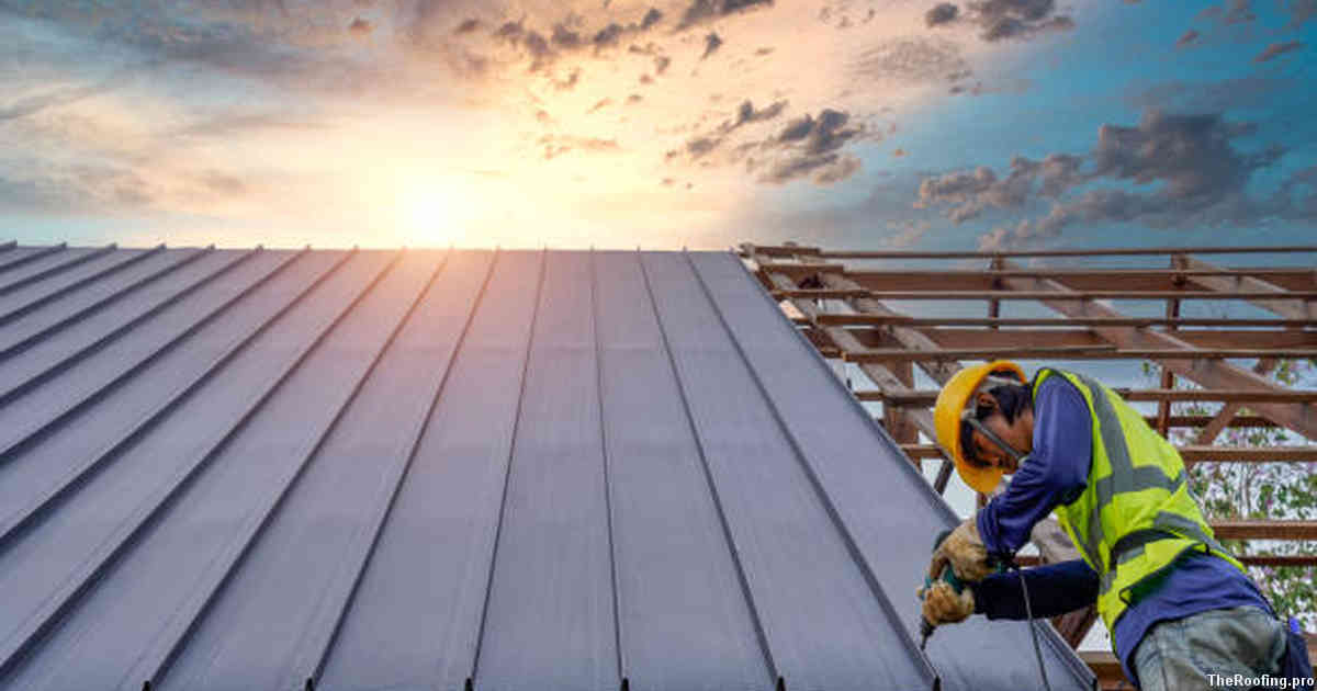 Emergency Roof Repair Services in Socorro