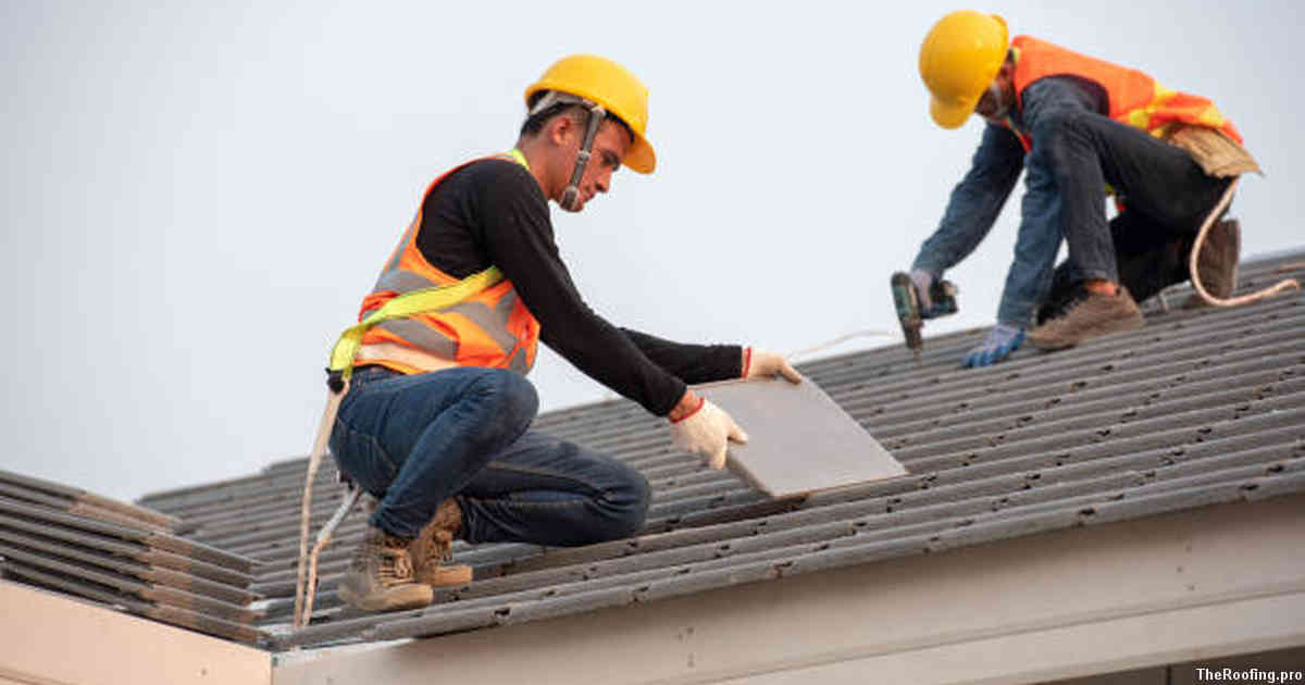 Essential Steps to Take Before a Roof Inspection