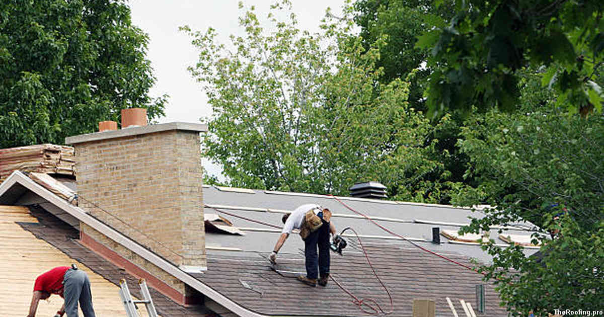 Essential Tips for Regular Roof Maintenance in Ripon