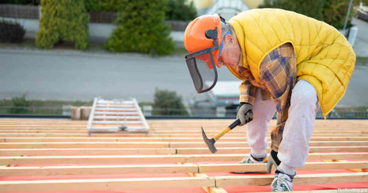 Expert Advice on Choosing the Right Roof