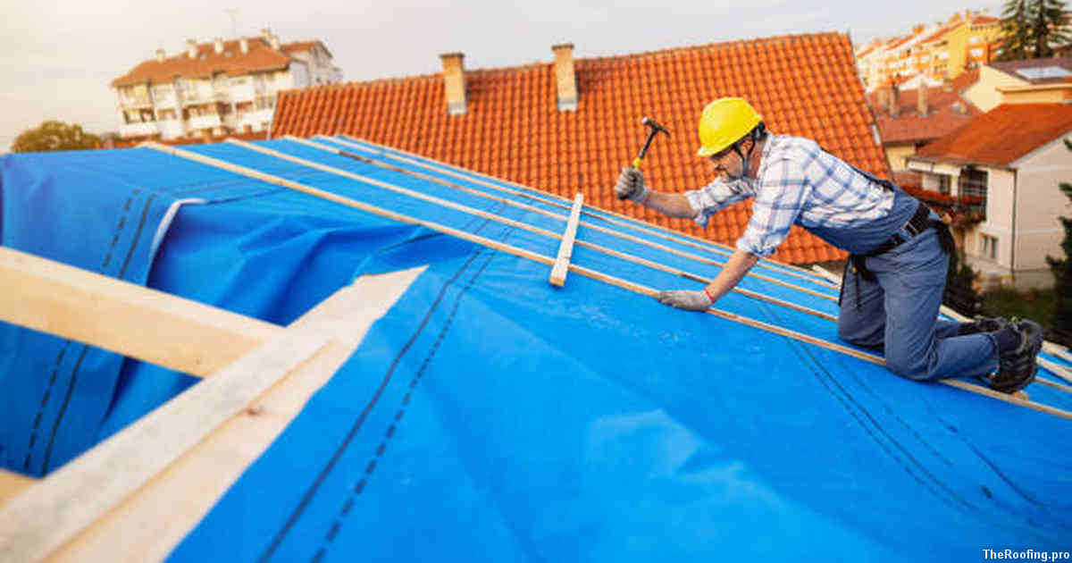 Keep Your Roof Clean With Professional Cleaning Services