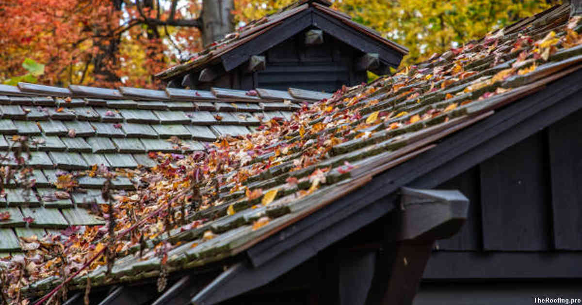 Overview of Roofing Considerations