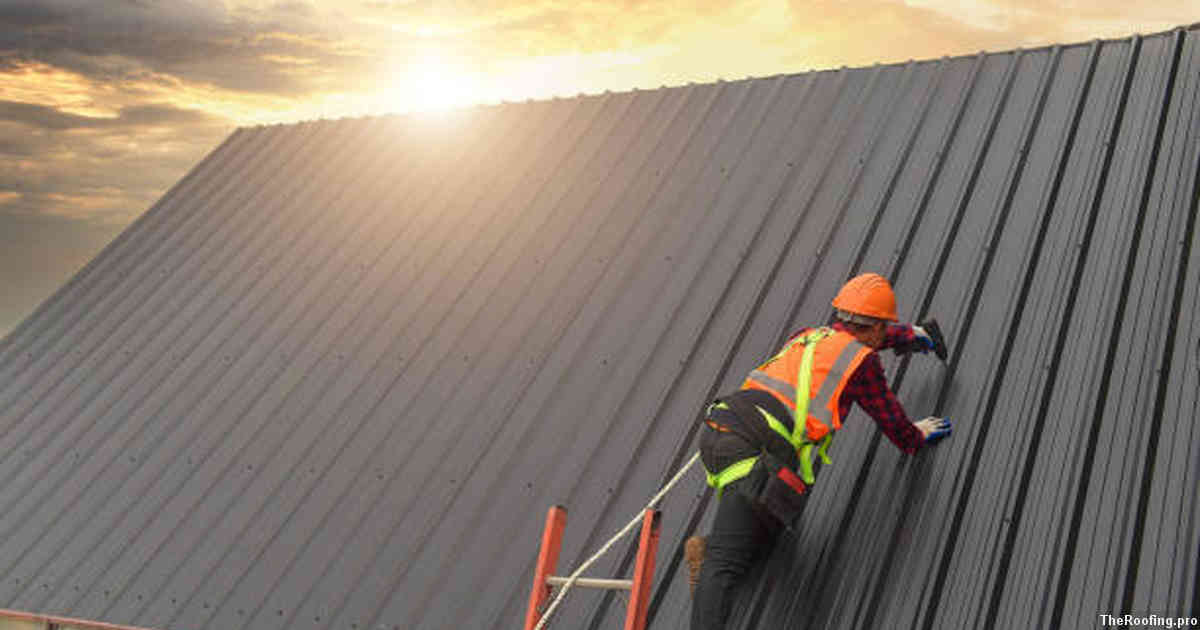 Professional Cleaning Services for Your Roof