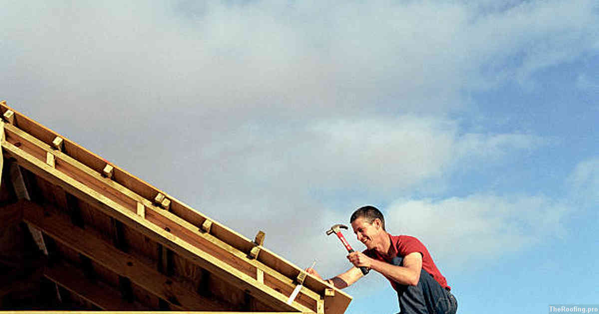 Professional Inspections Help Maintain a Healthy Roof – Lincolnshire