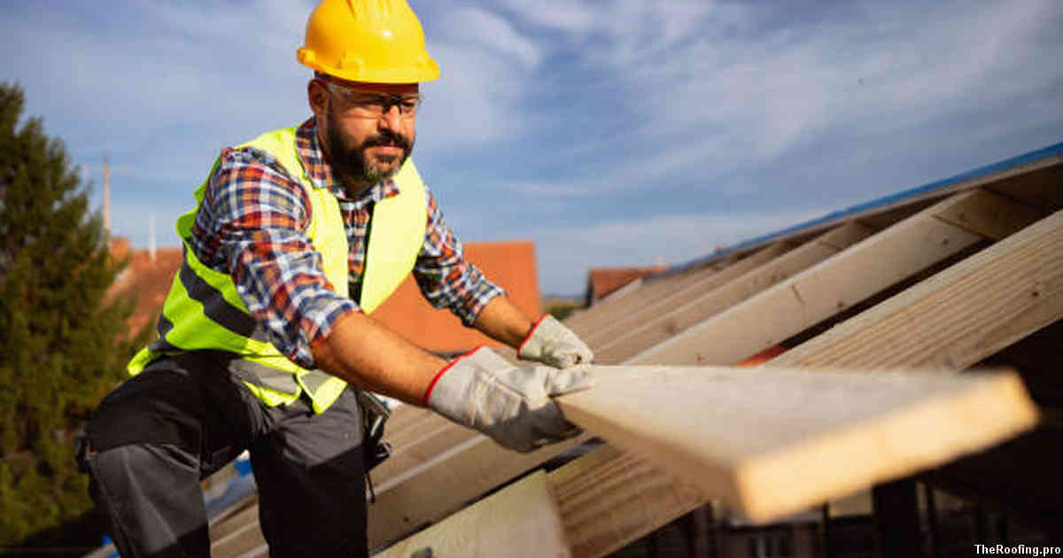 Professional Roof Cleaning Services in Ferguson