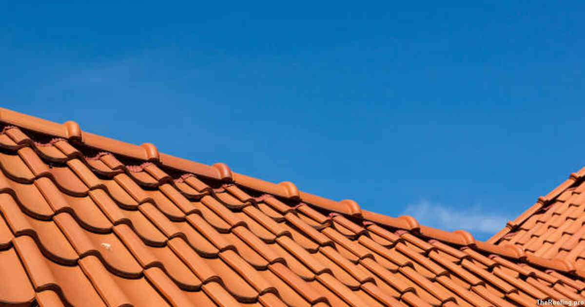 Professional Roof Cleaning Services in Willowbrook