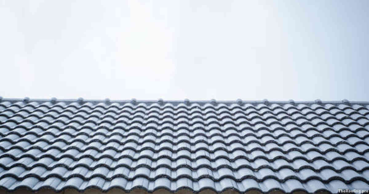 Roofing Basics for Santa Cruz Residents