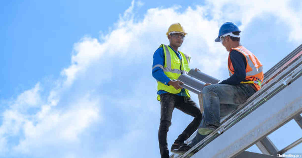 The Basics of Regular Roof Maintenance and Inspection