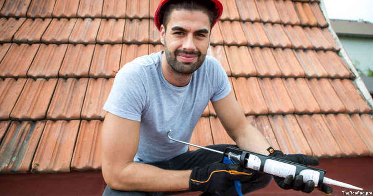 The Benefits of Regular Roof Cleaning in New York