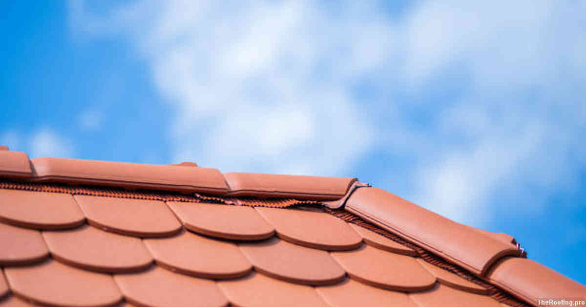 Understanding Different Roof Types
