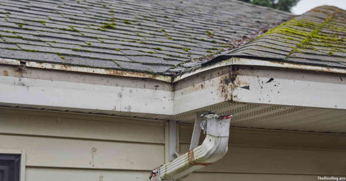 When Is It Time for a Professional Roof Inspection?